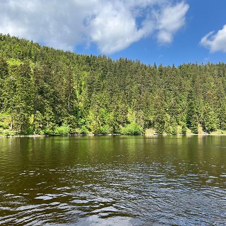 An Wanderwegen Gelegen Mit Terrasse Und Boxspringbett Lägenhet Sasbachwalden Exteriör bild