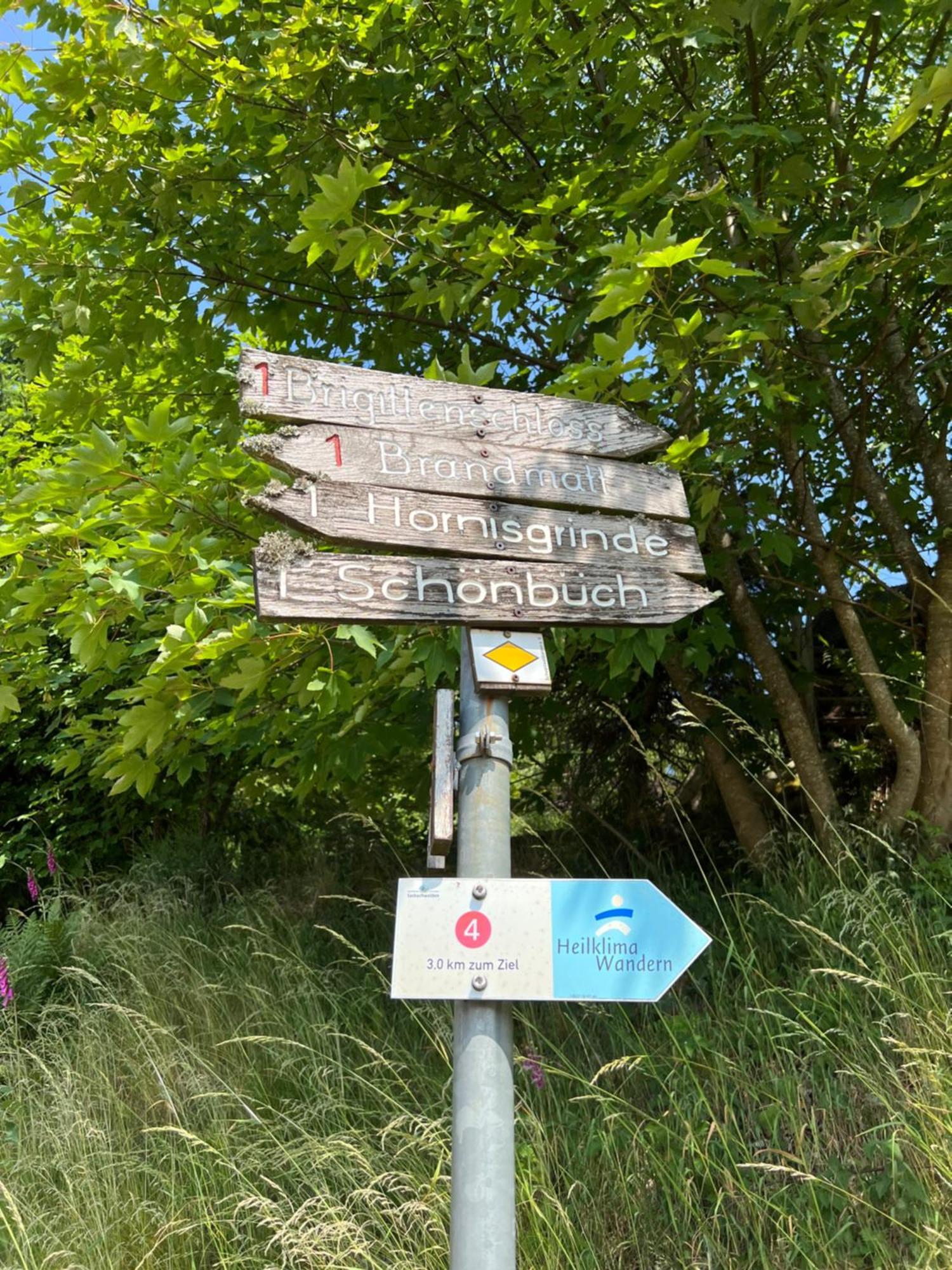 An Wanderwegen Gelegen Mit Terrasse Und Boxspringbett Lägenhet Sasbachwalden Exteriör bild