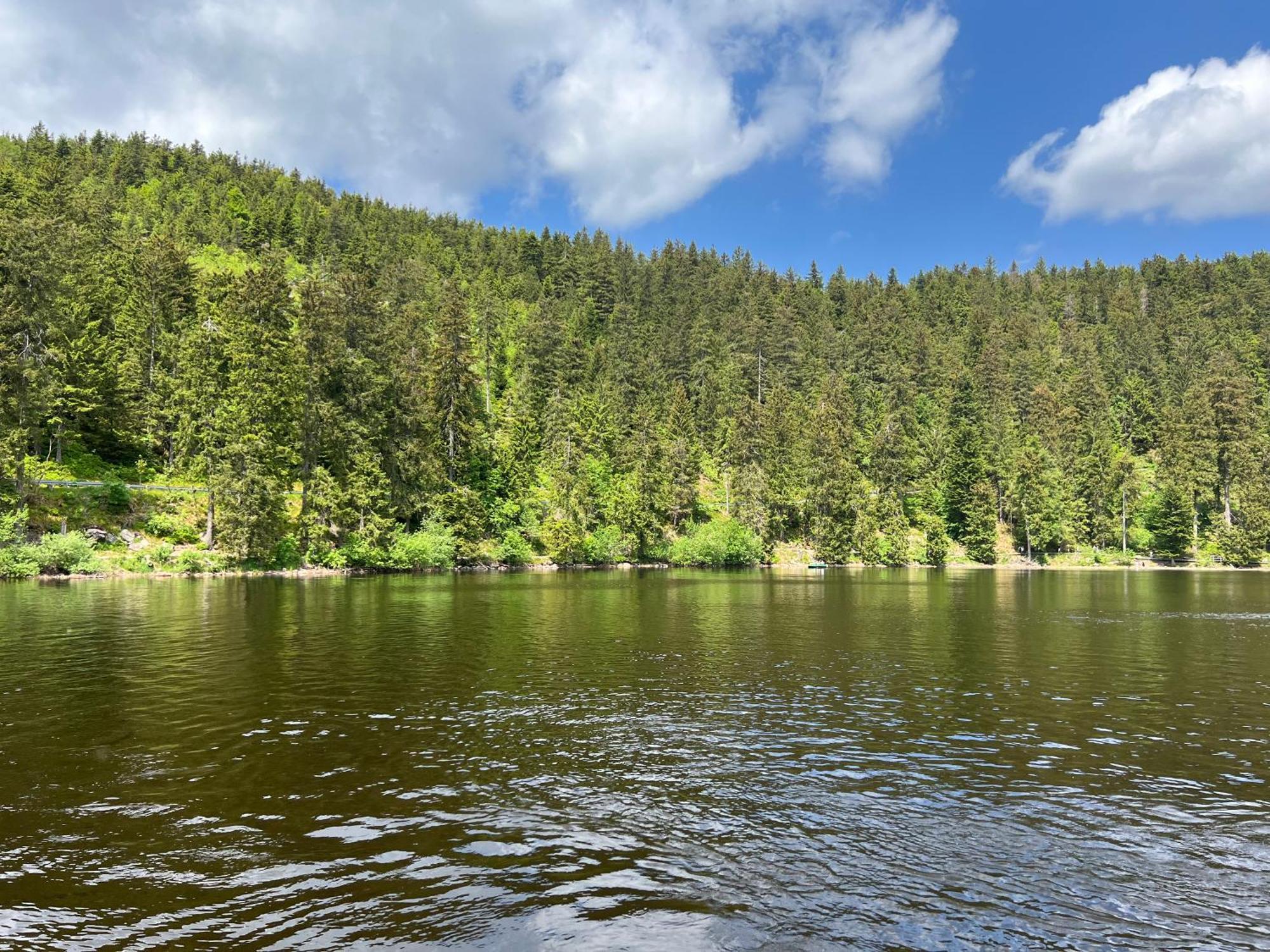 An Wanderwegen Gelegen Mit Terrasse Und Boxspringbett Lägenhet Sasbachwalden Exteriör bild